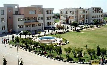 Chitkara University